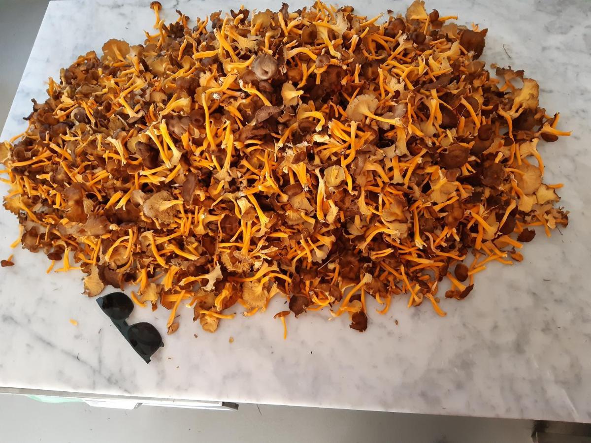 Locanda Rondolost 琴琴伊盖 外观 照片